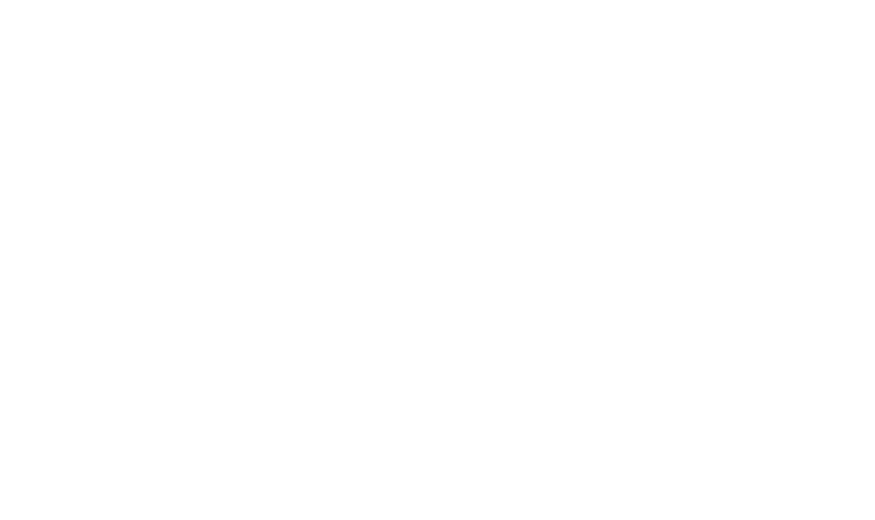 Traits verticaux blanc - Graphisme Piscine Inox